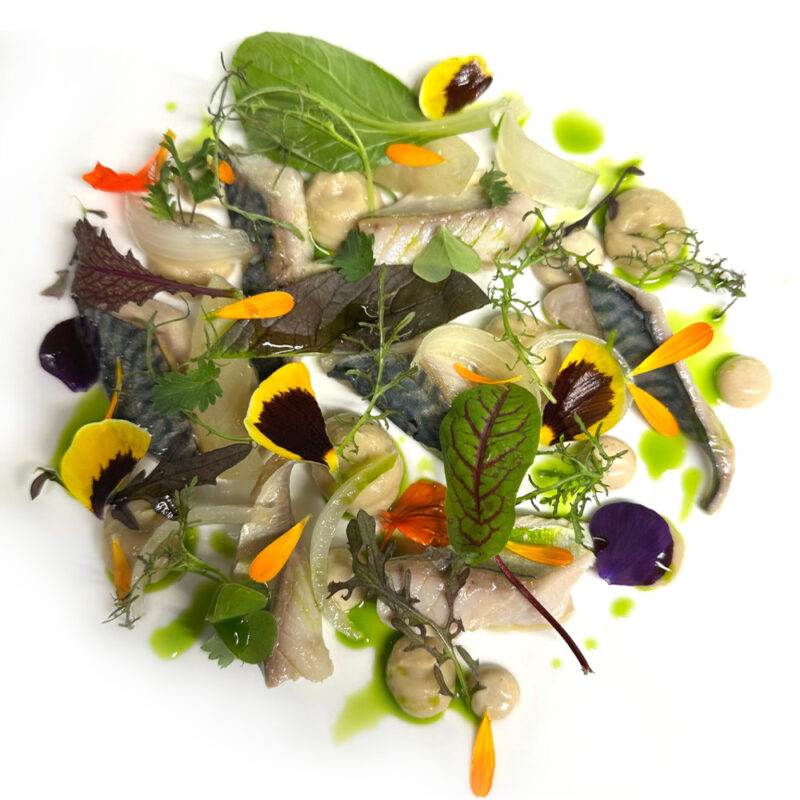 alma-home-immagine-piatto-1