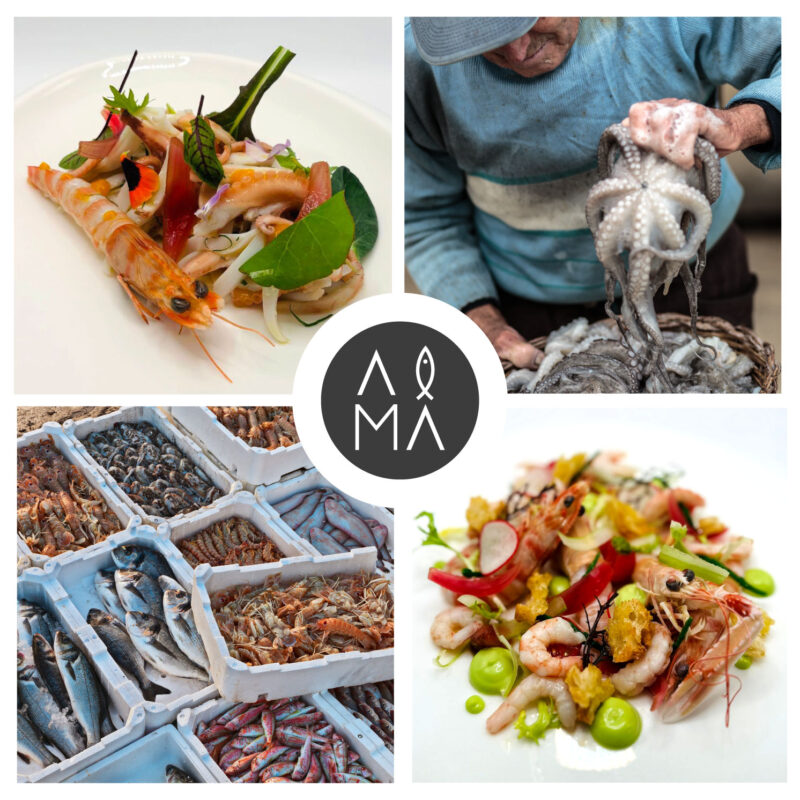 alma-il-mare-immagine-patch